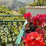 Ana Tatil Evi *