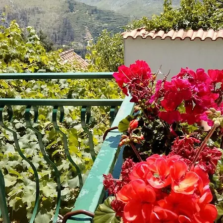 Ana Ferienhaus *